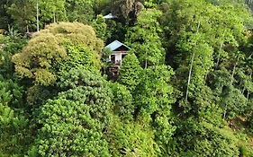 Sinharaja Rest