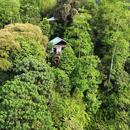 Sinharaja Rest Hotel Deniyaya Buitenkant foto