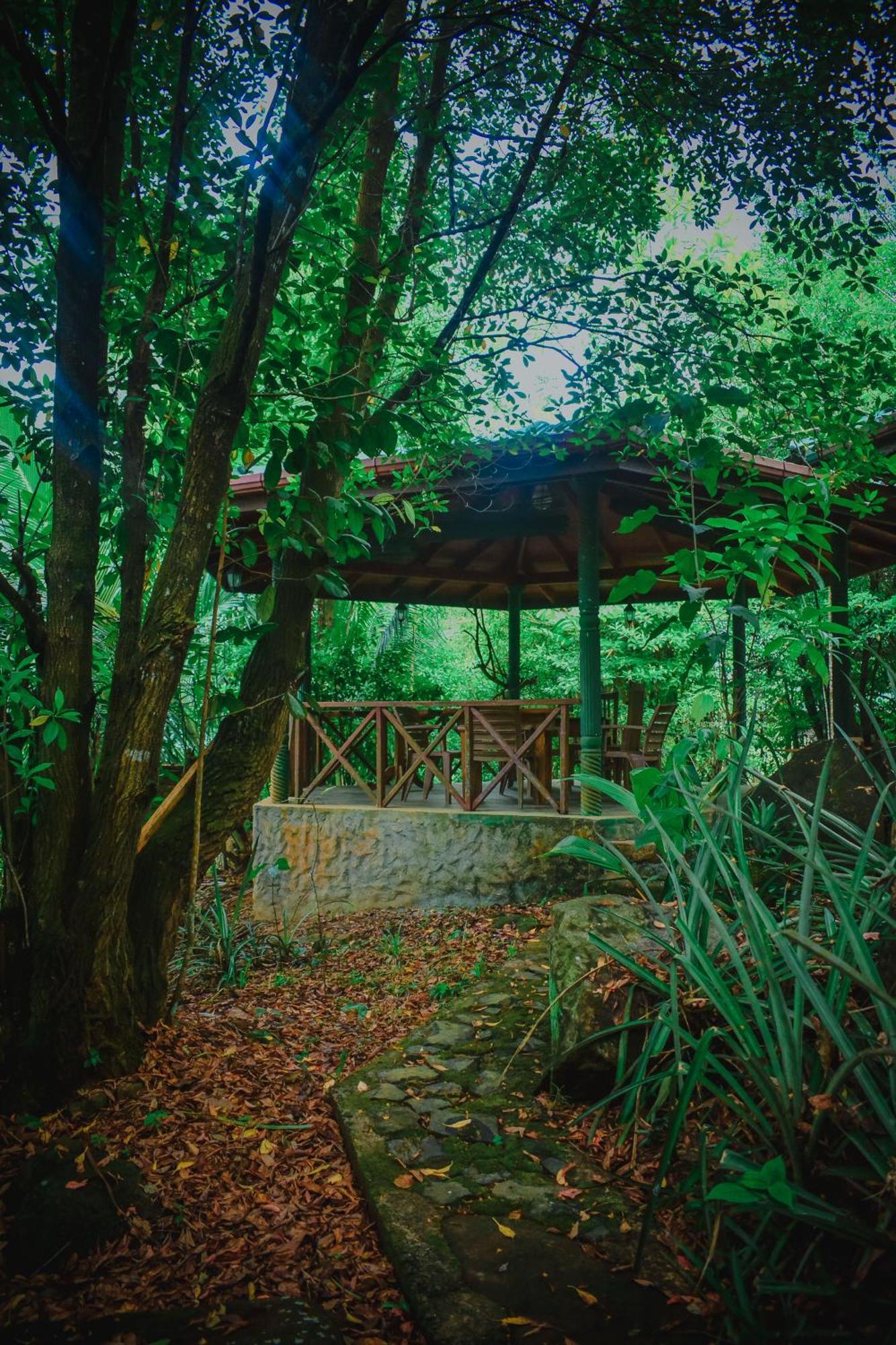 Sinharaja Rest Hotel Deniyaya Buitenkant foto