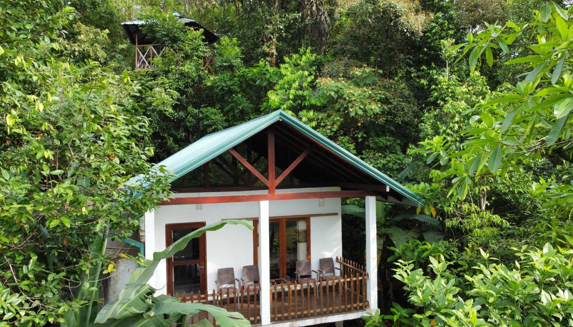 Sinharaja Rest Hotel Deniyaya Buitenkant foto