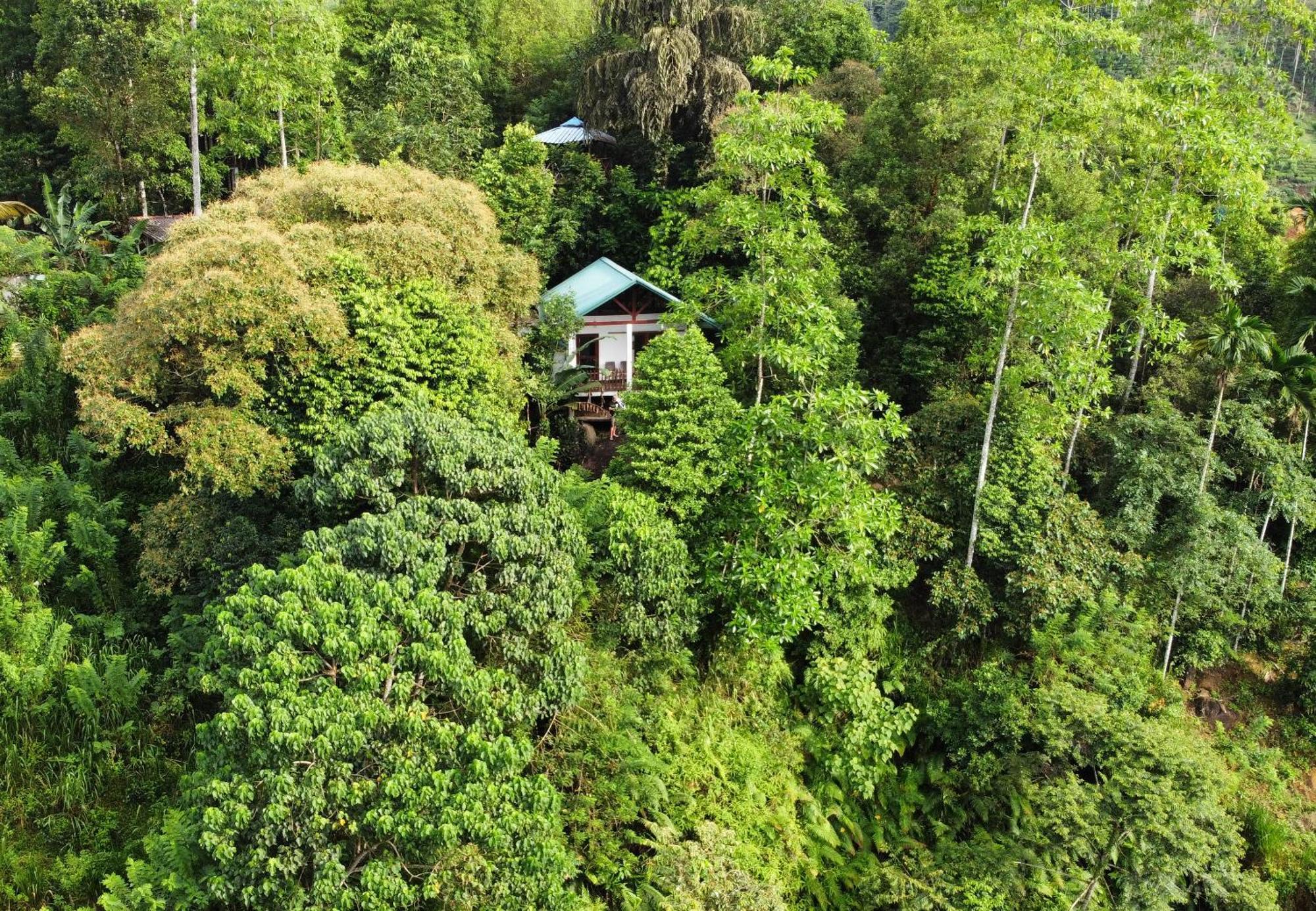 Sinharaja Rest Hotel Deniyaya Buitenkant foto